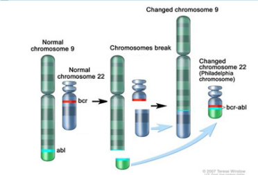 中国首个三代Bcr-Abl抑制剂的诞生和进阶之路 - 亚盛医药